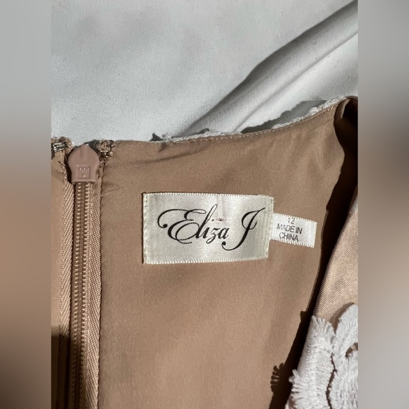 Eliza J Embroidered Mesh Fit & Flare Dress | 12 NWT - Picture 12 of 13